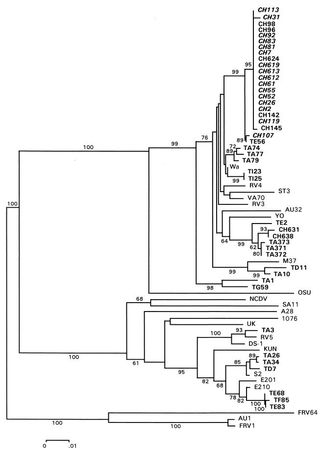 FIG. 1