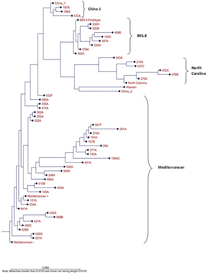 Fig 4