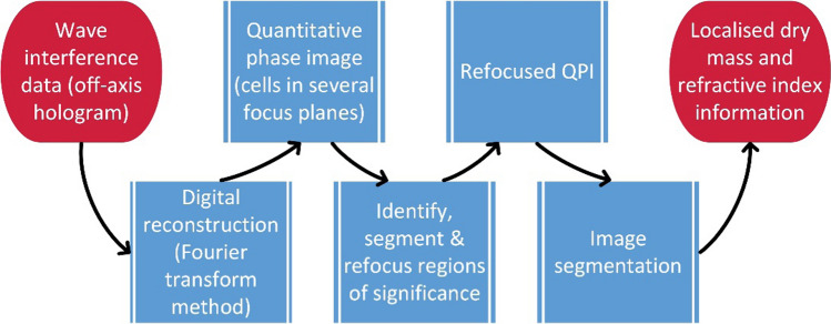 Fig. 2