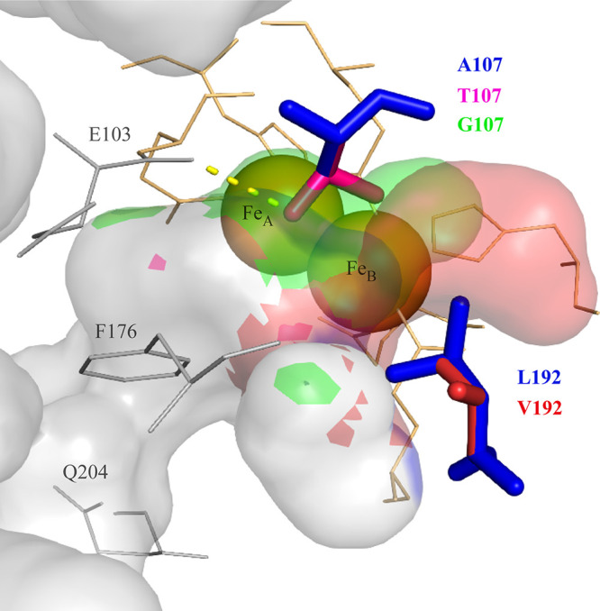 FIG 1