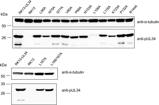 FIG 3