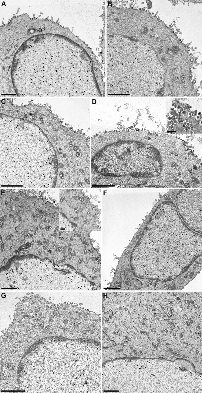 FIG 6