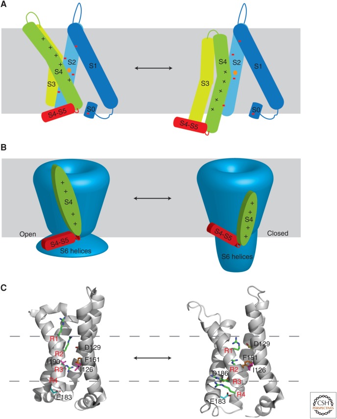 Figure 4.