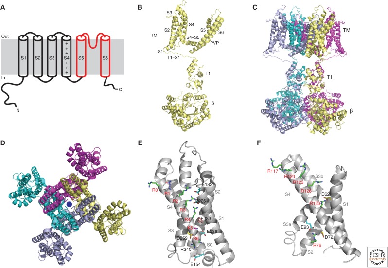 Figure 3.