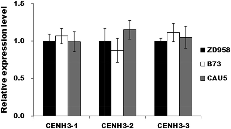 Figure 6.