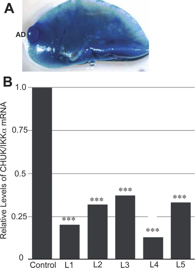 Figure S1.