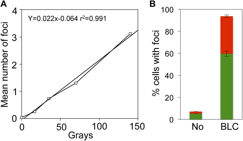 Figure 2—figure supplement 2.