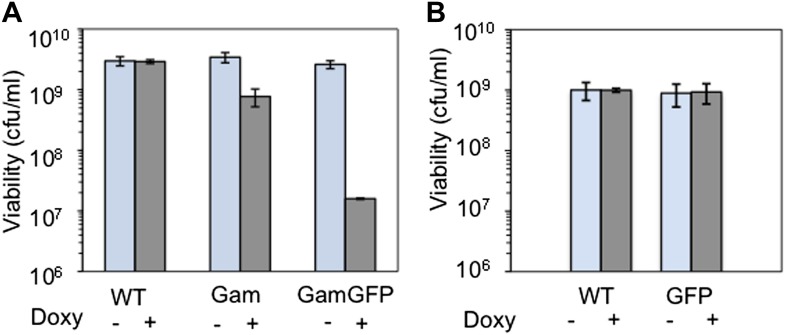 Figure 1—figure supplement 2.