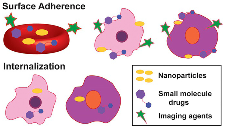 Figure 2.