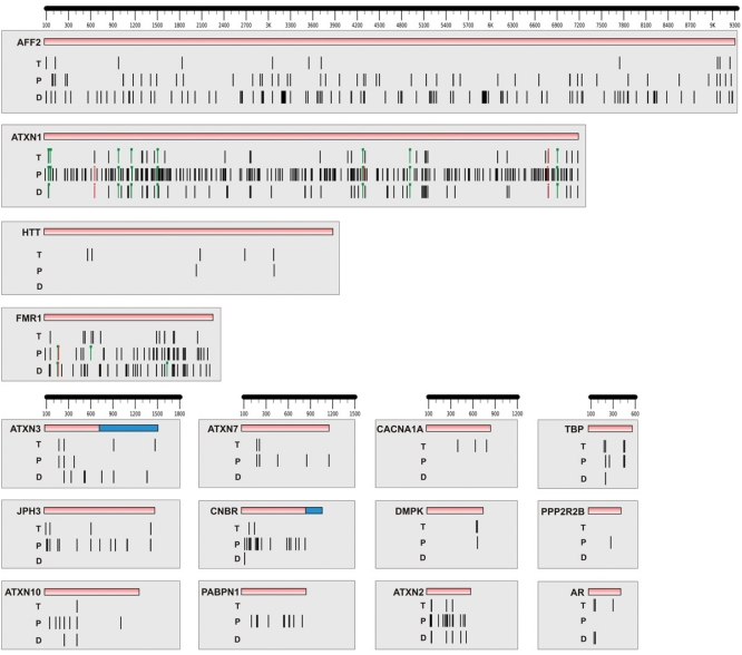 Fig. (4). The graphical presentation of miRNA target sites distribution in 3’UTRs of TREDs genes predicted by selected algorithms.