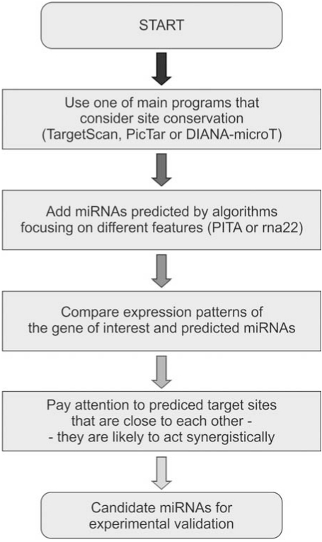 Fig. (2). The flow chart of steps for efficient miRNA target prediction.