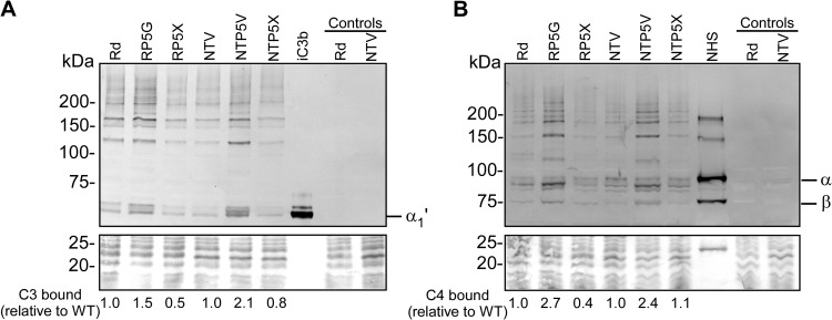 FIG 2