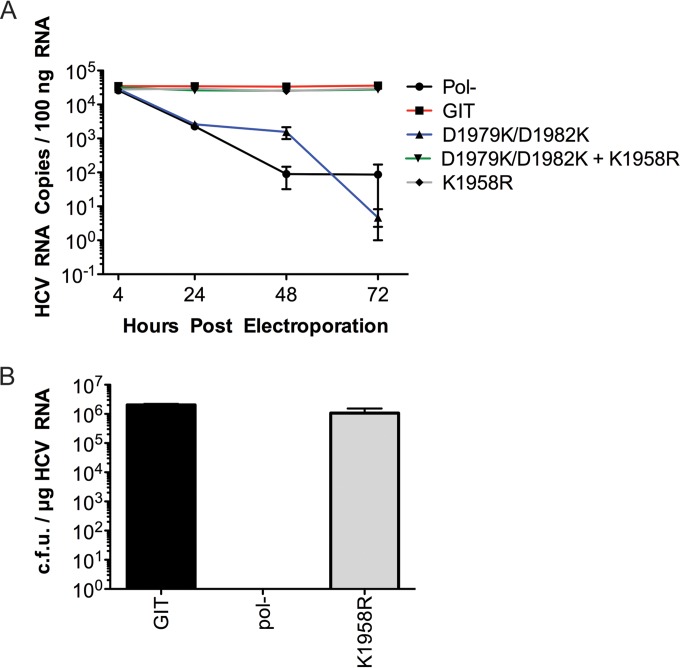 FIG 6