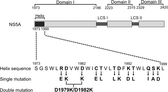 FIG 1