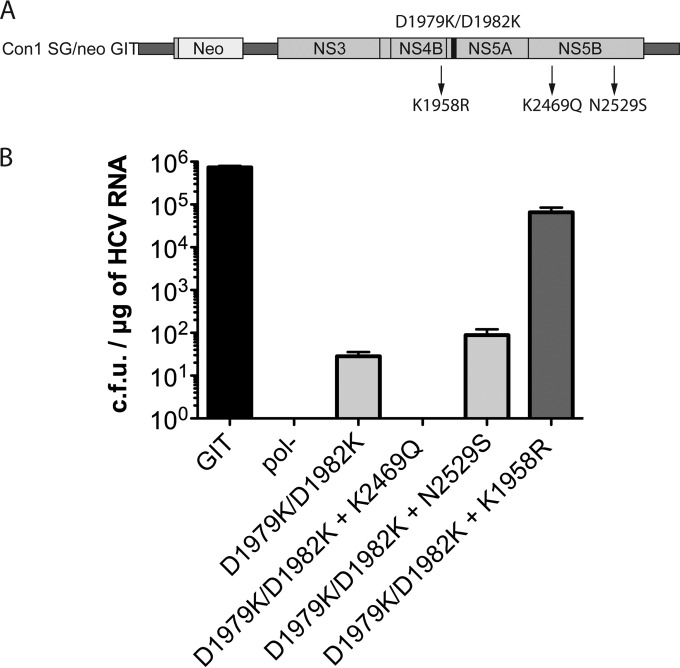 FIG 5