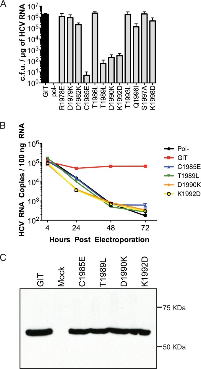 FIG 2