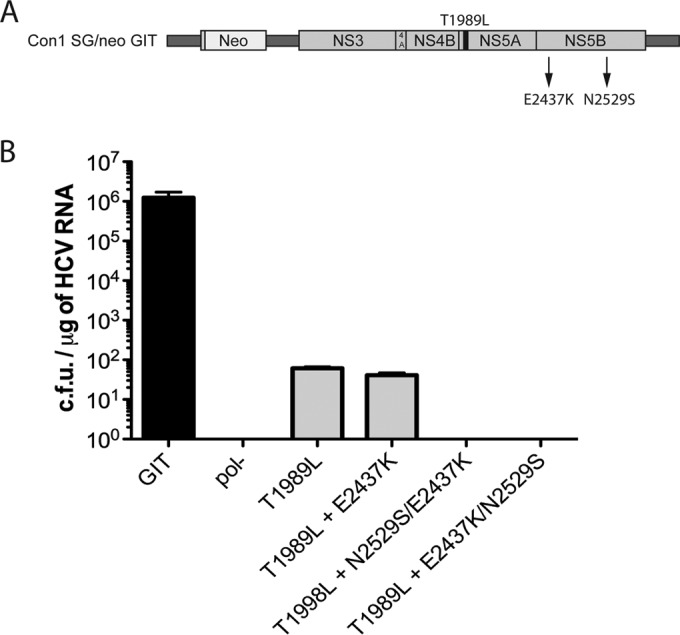 FIG 3