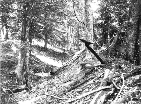 Fig. 1.2