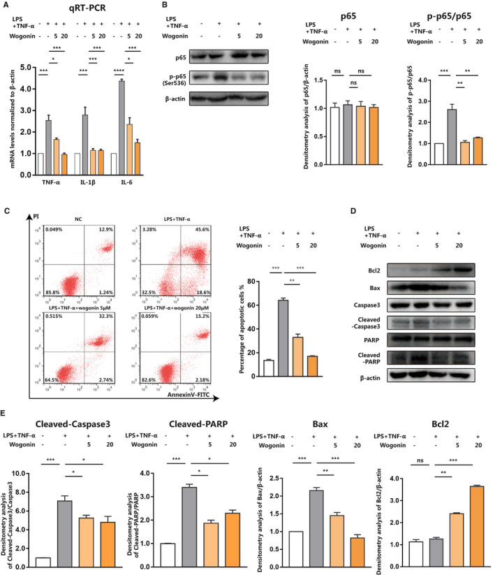 FIGURE 4