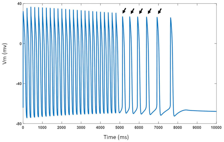 FIGURE 13