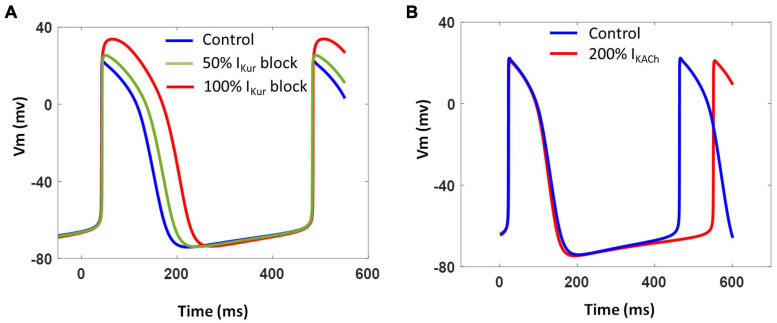 FIGURE 11