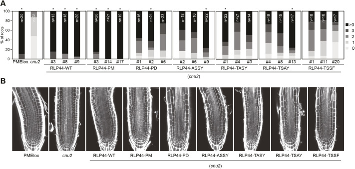 Fig. 8.