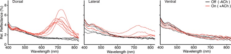 FIGURE 9.