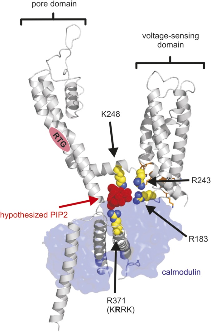 Fig. 8.