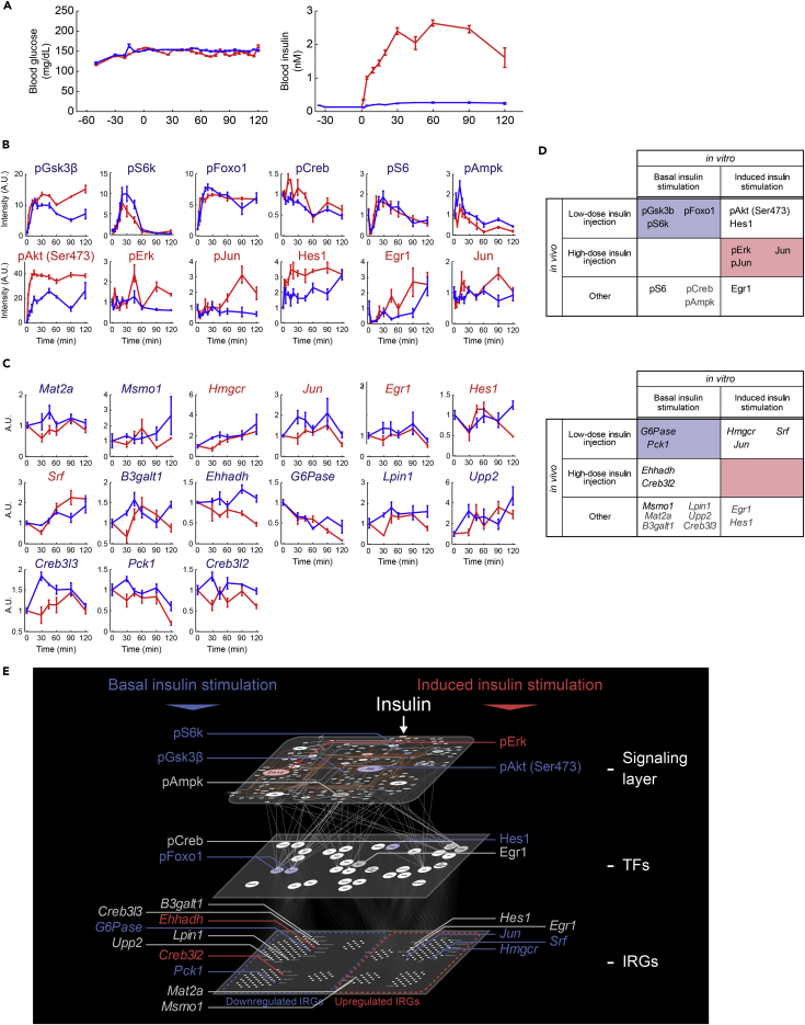 Figure 6