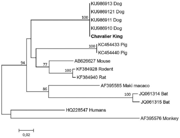 Figure 3.