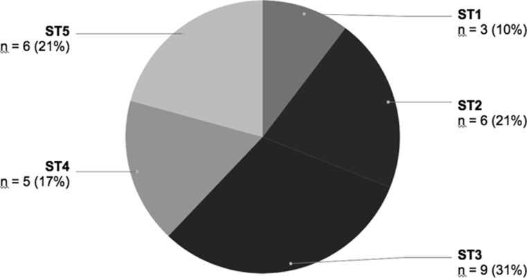 Figure 1