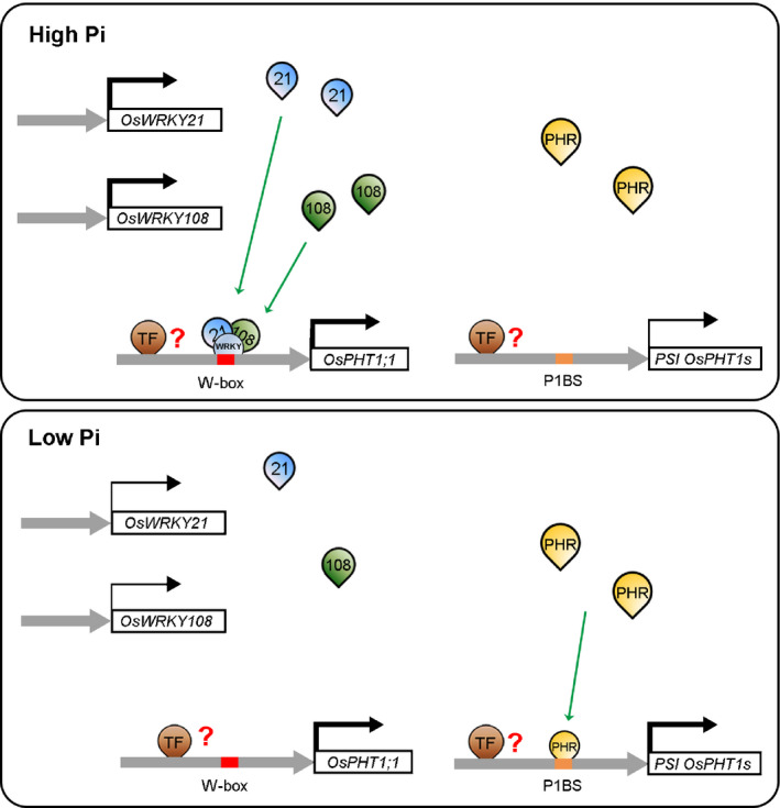 Fig. 9