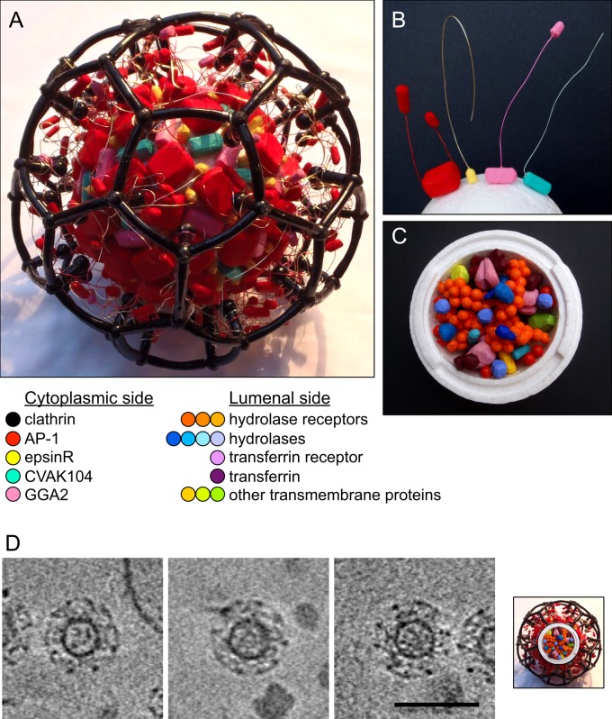 FIGURE 3: