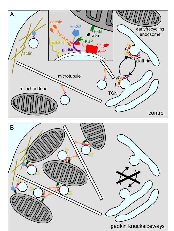 FIGURE 10: