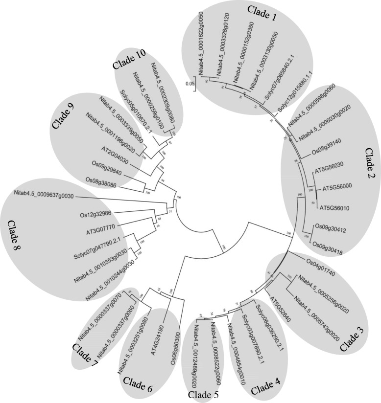 Fig. 2