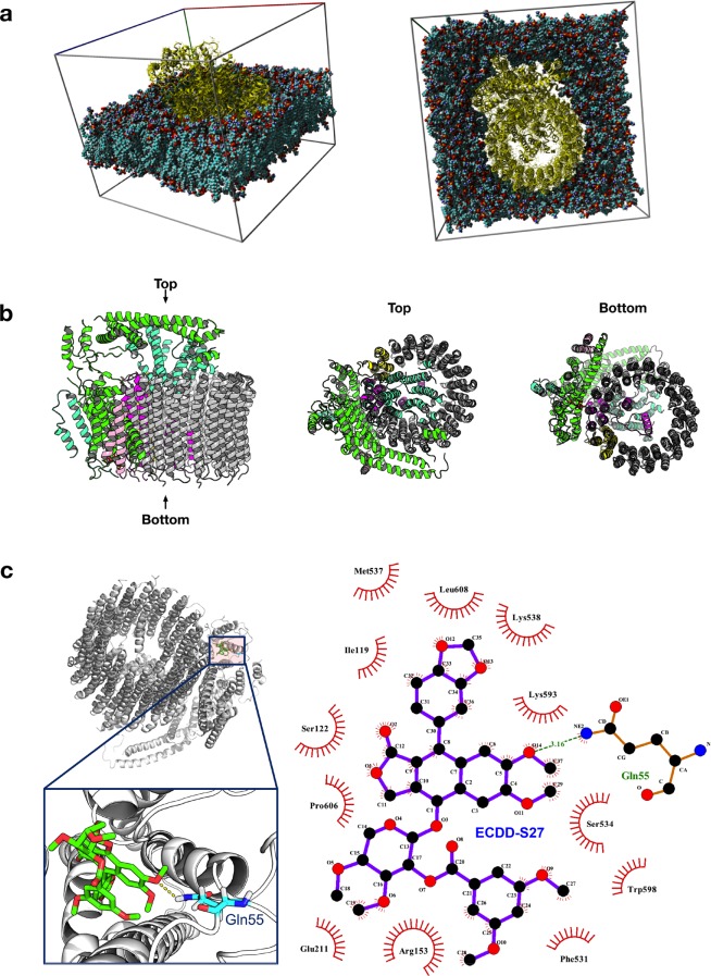 Figure 6