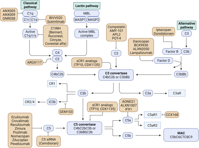 Figure 2