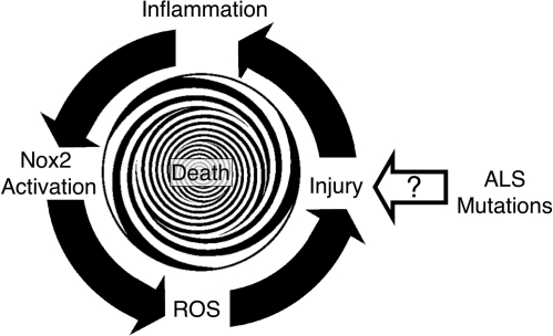 FIG. 1.