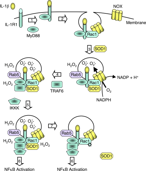 FIG. 2.