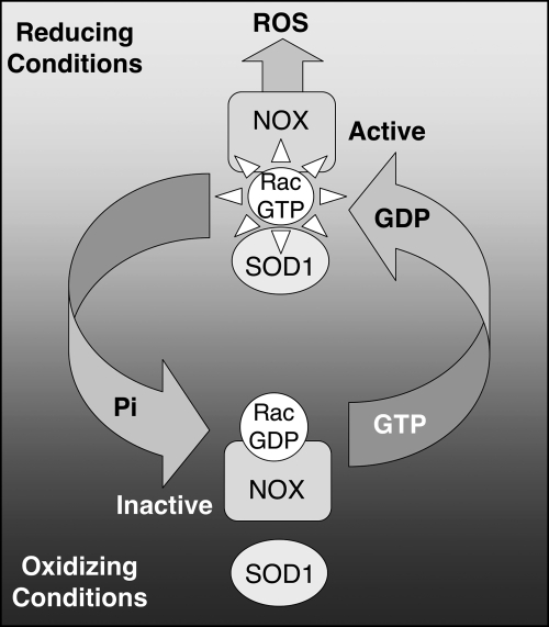 FIG. 3.