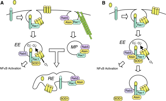 FIG. 6.