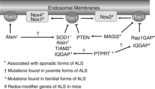 FIG. 7.