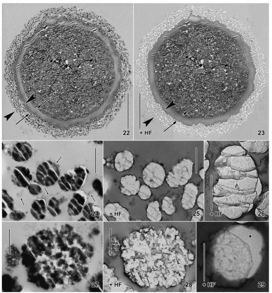 Fig. 22–29