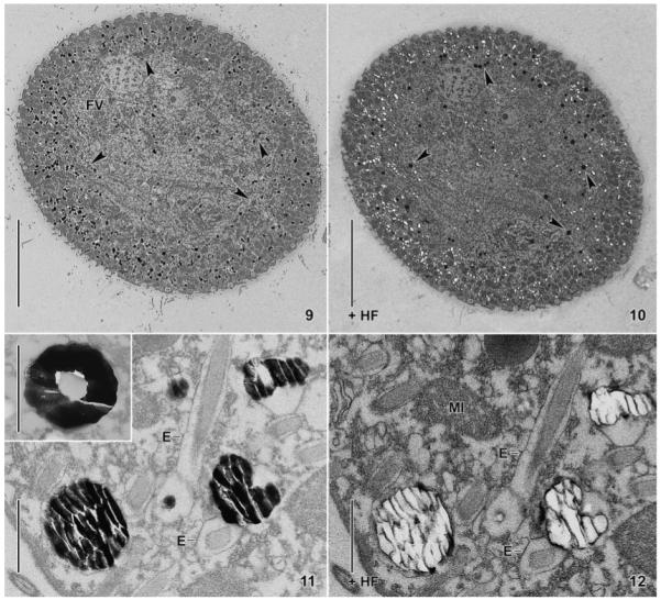 Fig. 9–12