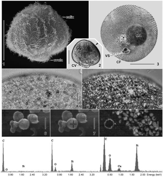 Fig. 1–8