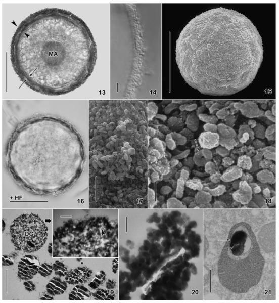 Fig. 13–21