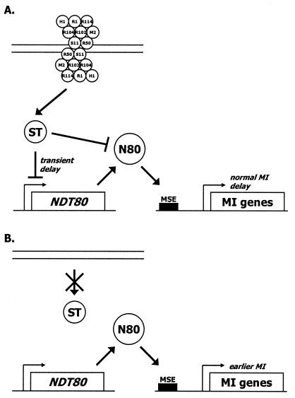 FIG. 9.