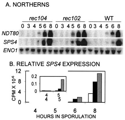 FIG. 8.