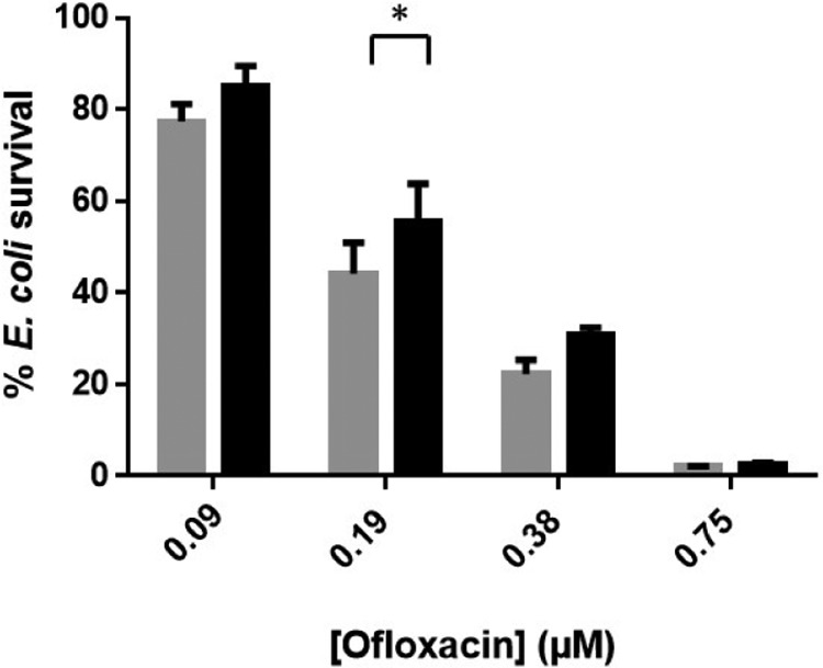 FIG 3