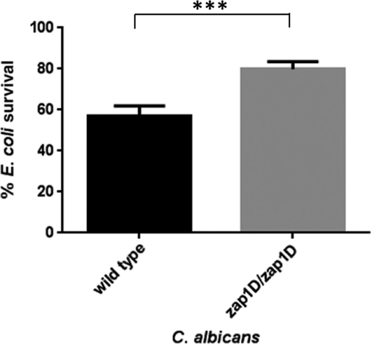 FIG 6